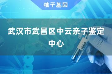 武漢市武昌區個人柚子親子鑒定中心